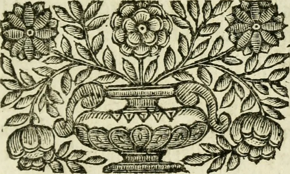 An illustration from Historia della republica Veneta, 1663, leaf 76