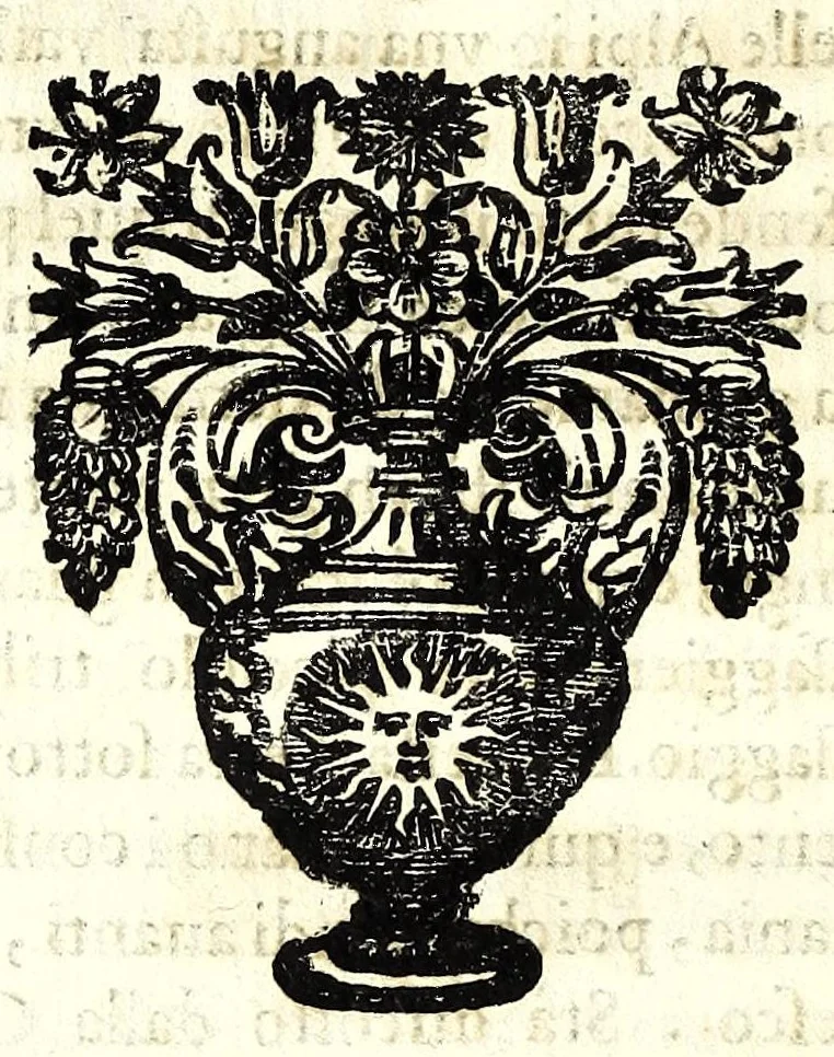 An illustration from Historia della sacra real maestà di Christina Alessandra regina di Suetia, &c., 1656, leaf 154