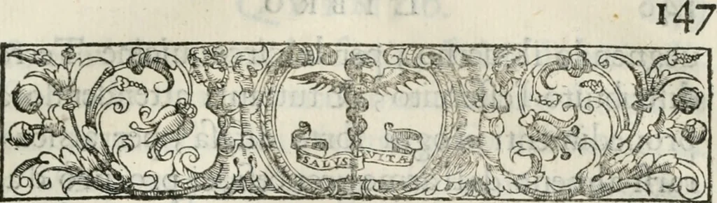 An illustration from Historia della vita, et fatti dell' eccellentissimo capitano di gverra Bartolomeo Coglione, 1569, leaf 176