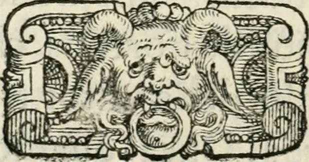 An illustration from Historia della vita, et fatti dell' eccellentissimo capitano di gverra Bartolomeo Coglione, 1569, leaf 237