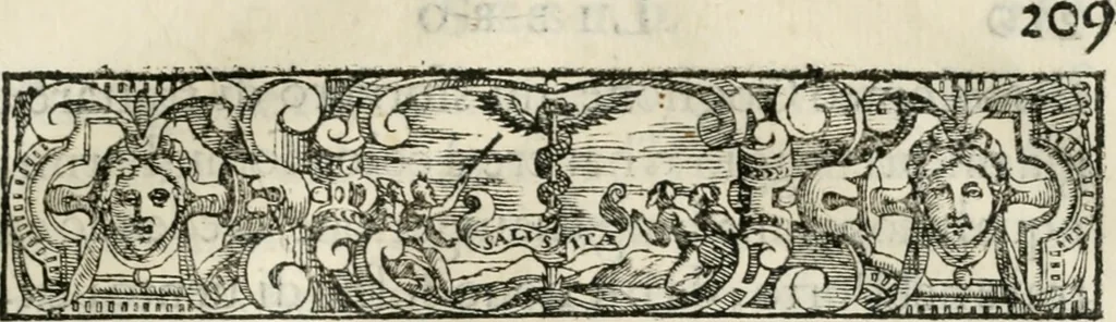 An illustration from Historia della vita, et fatti dell' eccellentissimo capitano di gverra Bartolomeo Coglione, 1569, leaf 238