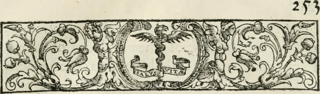 An illustration from Historia della vita, et fatti dell' eccellentissimo capitano di gverra Bartolomeo Coglione, 1569, leaf 282