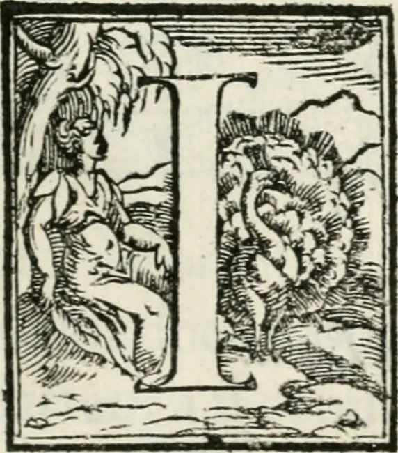 An illustration from Historia della vita, et fatti dell' eccellentissimo capitano di gverra Bartolomeo Coglione, 1569, leaf 282