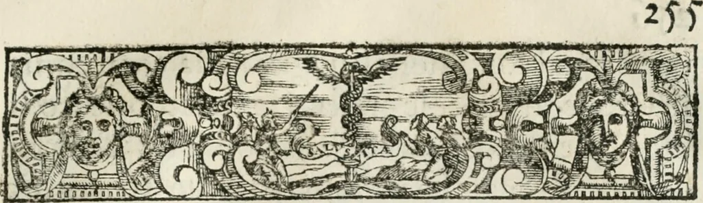 An illustration from Historia della vita, et fatti dell' eccellentissimo capitano di gverra Bartolomeo Coglione, 1569, leaf 284
