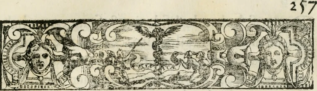 An illustration from Historia della vita, et fatti dell' eccellentissimo capitano di gverra Bartolomeo Coglione, 1569, leaf 286