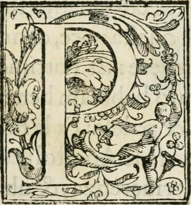 An illustration from Historia della vita, et fatti dell' eccellentissimo capitano di gverra Bartolomeo Coglione, 1569, leaf 286