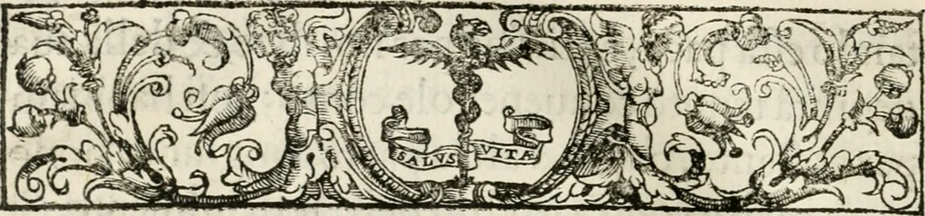 An illustration from Historia della vita, et fatti dell' eccellentissimo capitano di gverra Bartolomeo Coglione, 1569, leaf 289