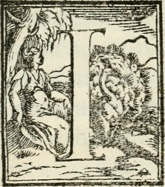 An illustration from Historia della vita, et fatti dell' eccellentissimo capitano di gverra Bartolomeo Coglione, 1569, leaf 289