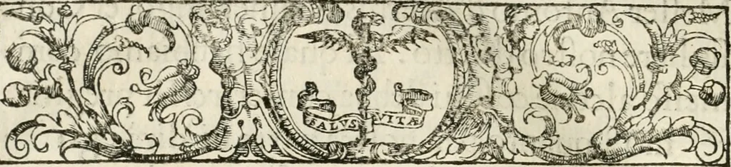 An illustration from Historia della vita, et fatti dell' eccellentissimo capitano di gverra Bartolomeo Coglione, 1569, leaf 291