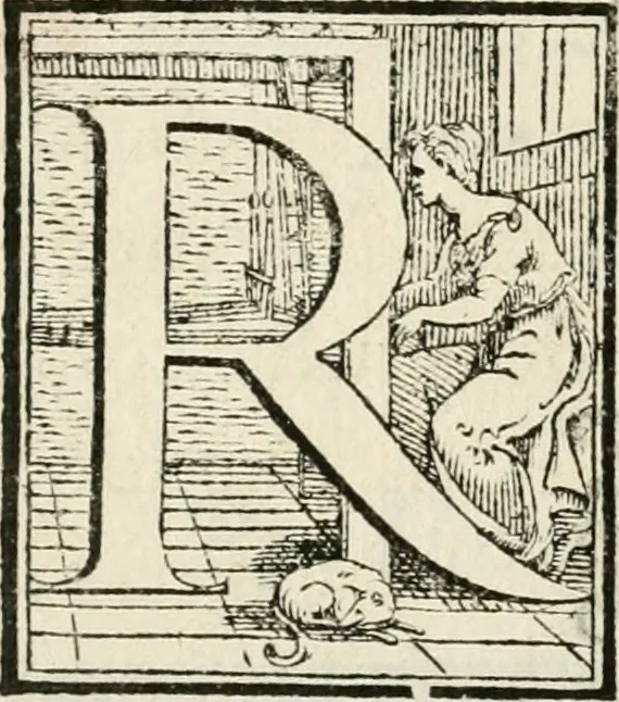 An illustration from Historia della vita, et fatti dell' eccellentissimo capitano di gverra Bartolomeo Coglione, 1569, leaf 291