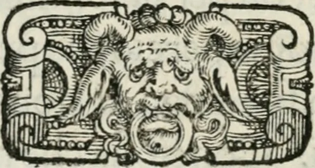 An illustration from Historia della vita, et fatti dell' eccellentissimo capitano di gverra Bartolomeo Coglione, 1569, leaf 294