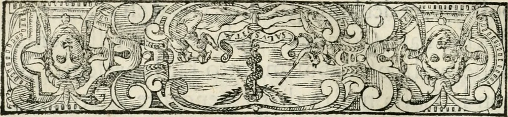 An illustration from Historia della vita, et fatti dell' eccellentissimo capitano di gverra Bartolomeo Coglione, 1569, leaf 295
