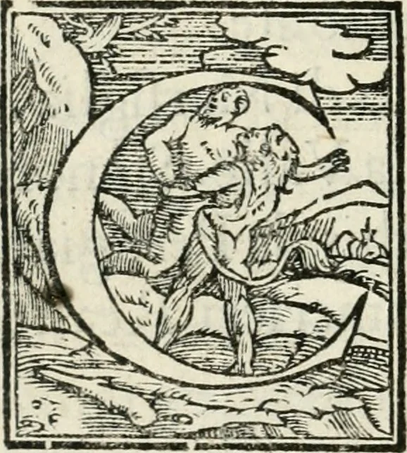 An illustration from Historia della vita, et fatti dell' eccellentissimo capitano di gverra Bartolomeo Coglione, 1569, leaf 295