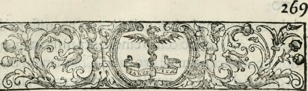An illustration from Historia della vita, et fatti dell' eccellentissimo capitano di gverra Bartolomeo Coglione, 1569, leaf 298