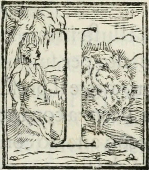 An illustration from Historia della vita, et fatti dell' eccellentissimo capitano di gverra Bartolomeo Coglione, 1569, leaf 298