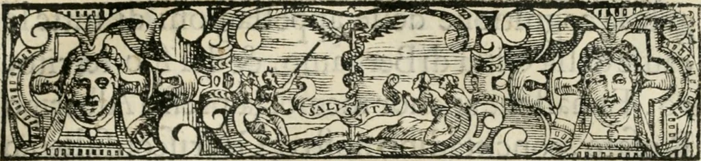 An illustration from Historia della vita, et fatti dell' eccellentissimo capitano di gverra Bartolomeo Coglione, 1569, leaf 30