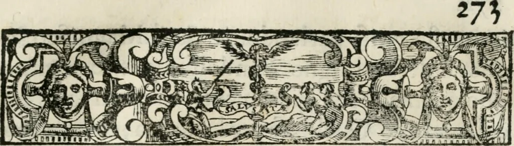 An illustration from Historia della vita, et fatti dell' eccellentissimo capitano di gverra Bartolomeo Coglione, 1569, leaf 302