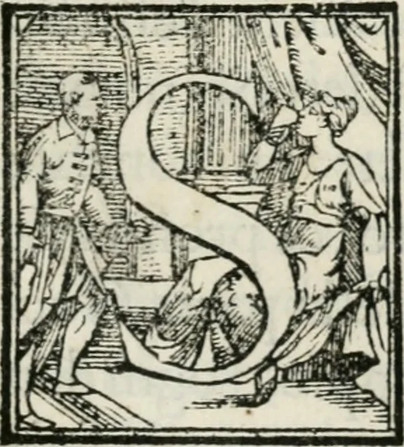 An illustration from Historia della vita, et fatti dell' eccellentissimo capitano di gverra Bartolomeo Coglione, 1569, leaf 302