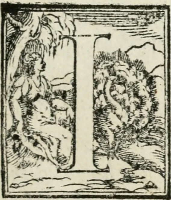 An illustration from Historia della vita, et fatti dell' eccellentissimo capitano di gverra Bartolomeo Coglione, 1569, leaf 6