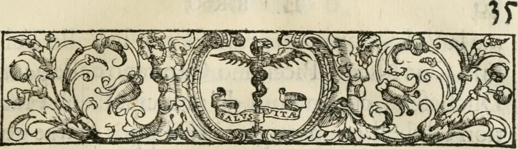 An illustration from Historia della vita, et fatti dell' eccellentissimo capitano di gverra Bartolomeo Coglione, 1569, leaf 64