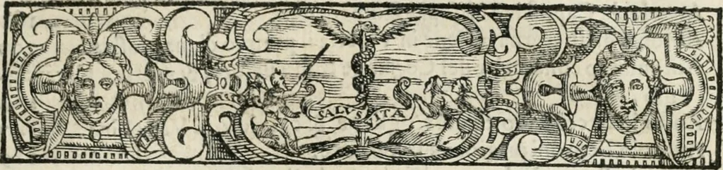 An illustration from Historia della vita, et fatti dell' eccellentissimo capitano di gverra Bartolomeo Coglione, 1569, leaf 8