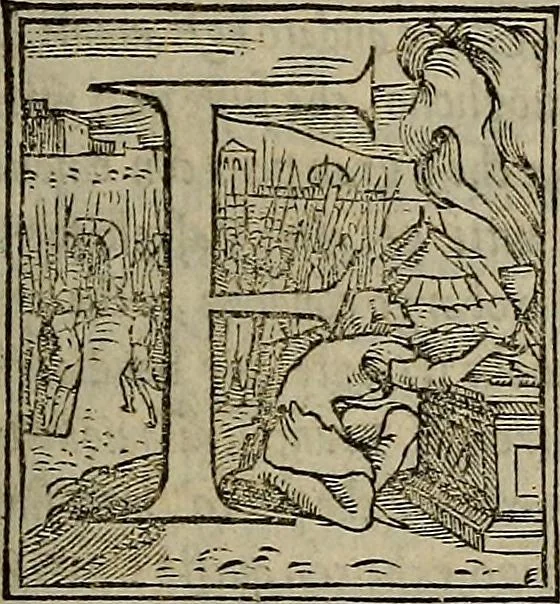 An illustration from Historia delle cose di Francia,, 1549, leaf 378