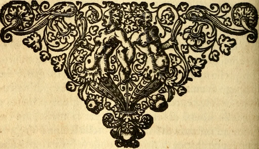 An illustration from Historia delle guerre della Germania inferiore, 1634, leaf 525