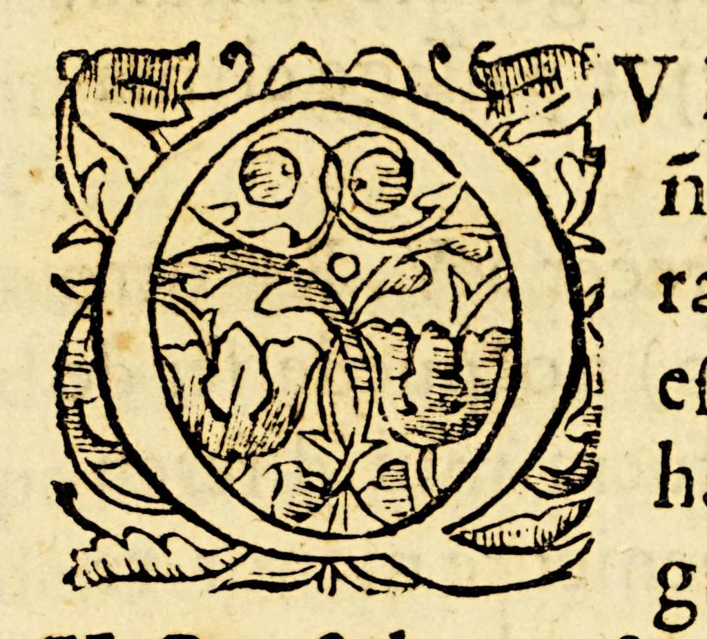 An illustration from Historia del leuantamiento de Portugal., 1644, leaf 15