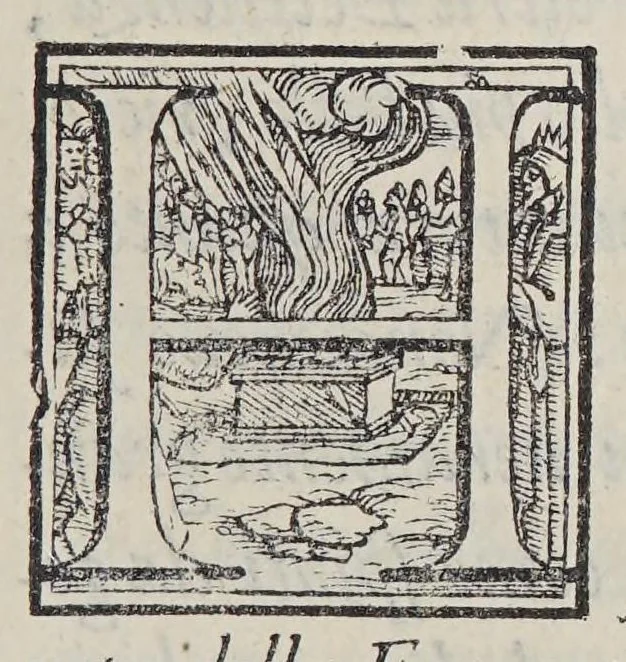 An illustration from Historia dell'India America detta altramente Francia Antartica,, 1561, leaf 7