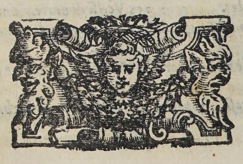 An illustration from Historia dell' India America detta altramente Francia Antartica,, 1584, leaf 38