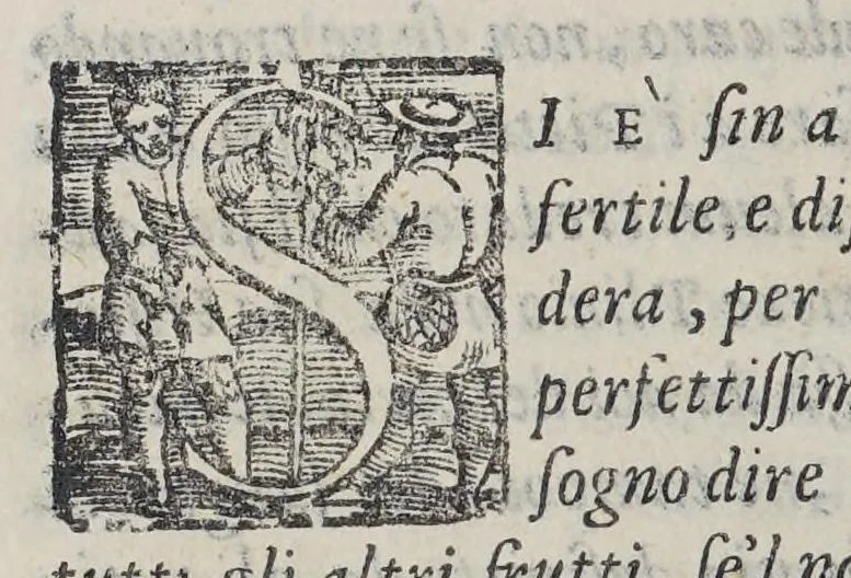 An illustration from Historia dell' India America detta altramente Francia Antartica,, 1584, leaf 72