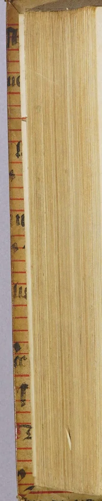 An illustration from Historia dell' Indie Orientali, scoperte, & conquistate da' Portoghesi, di commissione dell' Inuittissimo Re Don Manuello, di gloriosa memoria. : Nella quale, oltre alle strane vsanze, maniere, riti e costumi di quelle genti; si uiene anco in notitia di molte guerre fatte in quei paesi ...distinta in libri VII., 1577, leaf 592