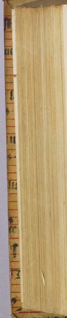 An illustration from Historia dell' Indie Orientali, scoperte, & conquistate da' Portoghesi, di commissione dell' Inuittissimo Re Don Manuello, di gloriosa memoria. : Nella quale, oltre alle strane vsanze, maniere, riti e costumi di quelle genti; si uiene anco in notitia di molte guerre fatte in quei paesi ...distinta in libri VII., 1577, leaf 644