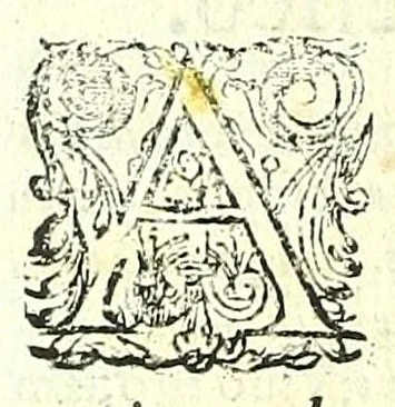 An illustration from Historia de los animales mas recebidos en el uso de medicina:, 1613, leaf 252