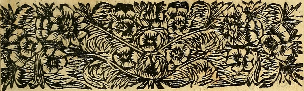 An illustration from Historia de los Vandos, de los Zegries, y Abencerrages cavalleros Moros de Granada, de las cmiles guerras que vuo en ella, y batallas particulares que vuo en la Vega entre Moros y Christianos, hasta que el Rey Don Fernando Quinto la ganó : Agora nvevamente sacada de un libro Arauigo, cuyo autor de vista fue un Moro llamado Aben Hamin ..., 1690, leaf 14