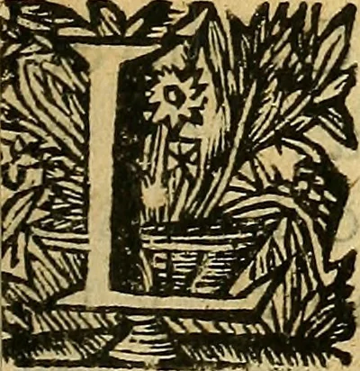 An illustration from Historia de los Vandos, de los Zegries, y Abencerrages cavalleros Moros de Granada, de las cmiles guerras que vuo en ella, y batallas particulares que vuo en la Vega entre Moros y Christianos, hasta que el Rey Don Fernando Quinto la ganó : Agora nvevamente sacada de un libro Arauigo, cuyo autor de vista fue un Moro llamado Aben Hamin ..., 1690, leaf 14