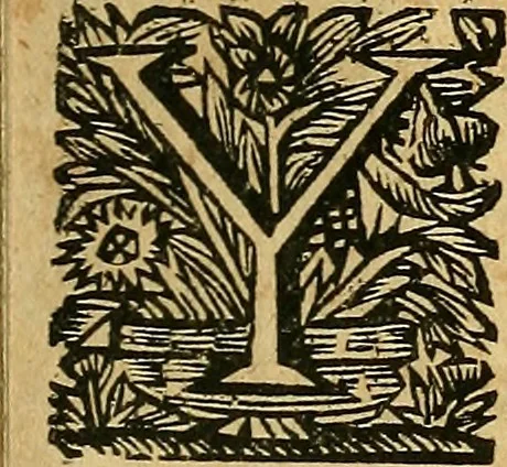 An illustration from Historia de los Vandos, de los Zegries, y Abencerrages cavalleros Moros de Granada, de las cmiles guerras que vuo en ella, y batallas particulares que vuo en la Vega entre Moros y Christianos, hasta que el Rey Don Fernando Quinto la ganó : Agora nvevamente sacada de un libro Arauigo, cuyo autor de vista fue un Moro llamado Aben Hamin ..., 1690, leaf 176