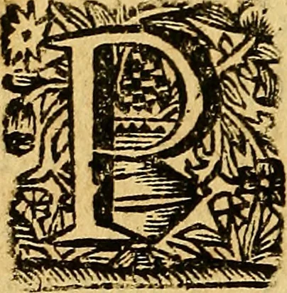 An illustration from Historia de los Vandos, de los Zegries, y Abencerrages cavalleros Moros de Granada, de las cmiles guerras que vuo en ella, y batallas particulares que vuo en la Vega entre Moros y Christianos, hasta que el Rey Don Fernando Quinto la ganó : Agora nvevamente sacada de un libro Arauigo, cuyo autor de vista fue un Moro llamado Aben Hamin ..., 1690, leaf 305
