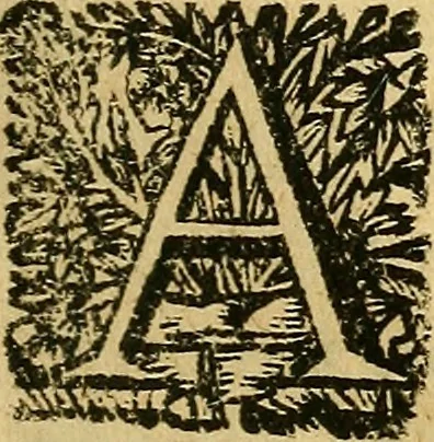 An illustration from Historia de los Vandos, de los Zegries, y Abencerrages cavalleros Moros de Granada, de las cmiles guerras que vuo en ella, y batallas particulares que vuo en la Vega entre Moros y Christianos, hasta que el Rey Don Fernando Quinto la ganó : Agora nvevamente sacada de un libro Arauigo, cuyo autor de vista fue un Moro llamado Aben Hamin ..., 1690, leaf 34