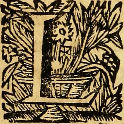 An illustration from Historia de los Vandos, de los Zegries, y Abencerrages cavalleros Moros de Granada, de las cmiles guerras que vuo en ella, y batallas particulares que vuo en la Vega entre Moros y Christianos, hasta que el Rey Don Fernando Quinto la ganó : Agora nvevamente sacada de un libro Arauigo, cuyo autor de vista fue un Moro llamado Aben Hamin ..., 1690, leaf 421