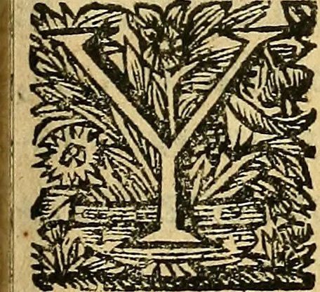 An illustration from Historia de los Vandos, de los Zegries, y Abencerrages cavalleros Moros de Granada, de las cmiles guerras que vuo en ella, y batallas particulares que vuo en la Vega entre Moros y Christianos, hasta que el Rey Don Fernando Quinto la ganó : Agora nvevamente sacada de un libro Arauigo, cuyo autor de vista fue un Moro llamado Aben Hamin ..., 1690, leaf 52