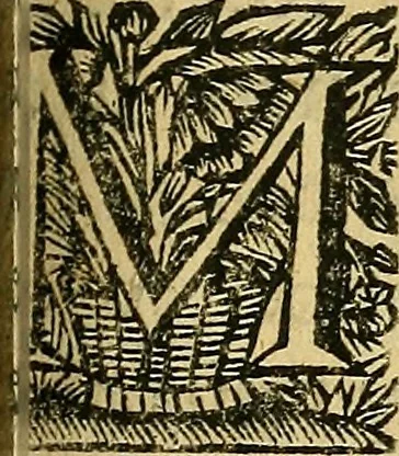 An illustration from Historia de los Vandos, de los Zegries, y Abencerrages cavalleros Moros de Granada, de las cmiles guerras que vuo en ella, y batallas particulares que vuo en la Vega entre Moros y Christianos, hasta que el Rey Don Fernando Quinto la ganó : Agora nvevamente sacada de un libro Arauigo, cuyo autor de vista fue un Moro llamado Aben Hamin ..., 1690, leaf 568