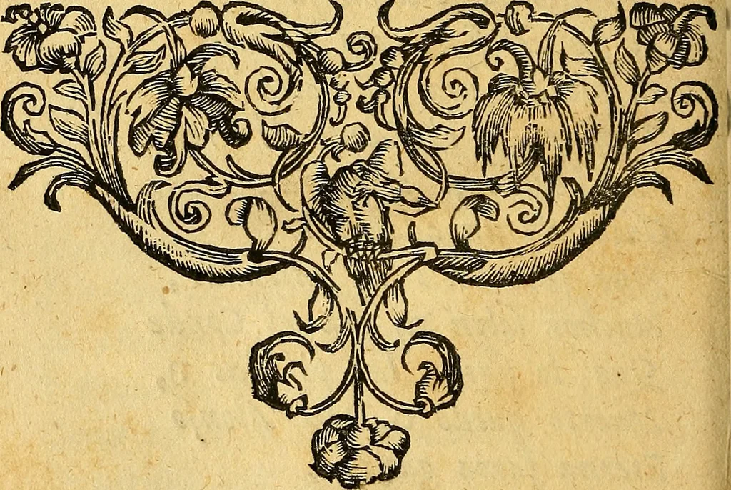 An illustration from Historia de los Vandos, de los Zegries, y Abencerrages cavalleros Moros de Granada, de las cmiles guerras que vuo en ella, y batallas particulares que vuo en la Vega entre Moros y Christianos, hasta que el Rey Don Fernando Quinto la ganó : Agora nvevamente sacada de un libro Arauigo, cuyo autor de vista fue un Moro llamado Aben Hamin ..., 1690, leaf 699