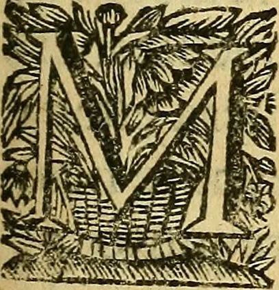 An illustration from Historia de los Vandos, de los Zegries, y Abencerrages cavalleros Moros de Granada, de las cmiles guerras que vuo en ella, y batallas particulares que vuo en la Vega entre Moros y Christianos, hasta que el Rey Don Fernando Quinto la ganó : Agora nvevamente sacada de un libro Arauigo, cuyo autor de vista fue un Moro llamado Aben Hamin ..., 1690, leaf 84