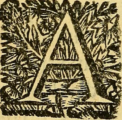 An illustration from Historia de los Vandos, de los Zegries, y Abencerrages cavalleros Moros de Granada, de las cmiles guerras que vuo en ella, y batallas particulares que vuo en la Vega entre Moros y Christianos, hasta que el Rey Don Fernando Quinto la ganó : Agora nvevamente sacada de un libro Arauigo, cuyo autor de vista fue un Moro llamado Aben Hamin ..., 1690, leaf 99