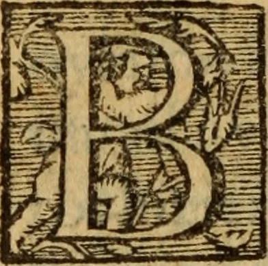 An illustration from Historia de los Vandos, de los Zegries, y Abencerrages cavalleros Moros de Granada, de las cmiles guerras que vuo en ella, y batallas particulares que vuo en la Vega entre Moros y Christianos, hasta que el Rey Don Fernando Quinto la ganó : Agora nvevamente sacada de un libro Arauigo, cuyo autor de vista fue un Moro llamado Aben Hamin ..., 1610, leaf 141