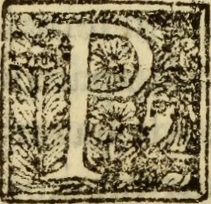 An illustration from Historia de los Vandos, de los Zegries, y Abencerrages cavalleros Moros de Granada, de las cmiles guerras que vuo en ella, y batallas particulares que vuo en la Vega entre Moros y Christianos, hasta que el Rey Don Fernando Quinto la ganó : Agora nvevamente sacada de un libro Arauigo, cuyo autor de vista fue un Moro llamado Aben Hamin ..., 1610, leaf 245
