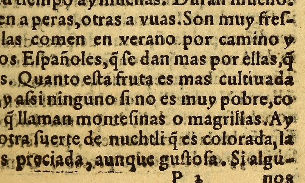 An illustration from Historia de Mexico, : con el descubrimiento de la Nueua España, conquistada por el muy illustre y valeroso principe don Fernando Cortes ..., 1554, leaf 233