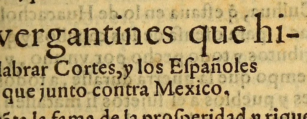 An illustration from Historia de Mexico, : con el descubrimiento de la Nueua España, conquistada por el muy illustre y valeroso principe don Fernando Cortes ..., 1554, leaf 351