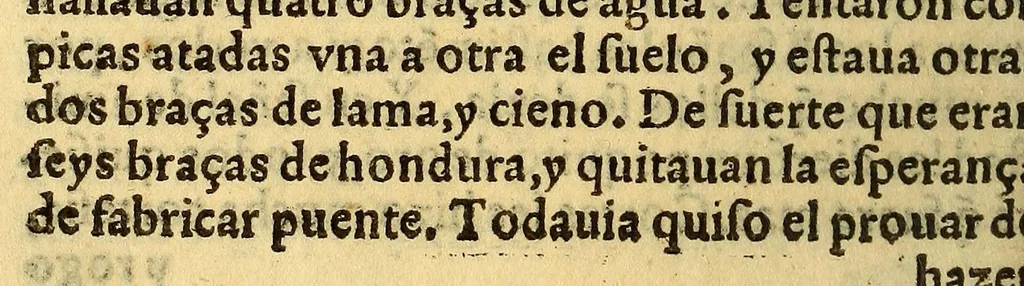 An illustration from Historia de Mexico, : con el descubrimiento dela Nueua España, conquistada por el muy illustre y valeroso principe don Fernando Cortes, ..., 1554, leaf 516